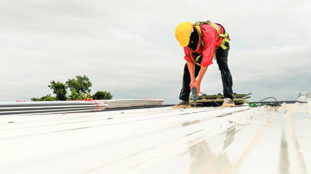 Best Roof Moss and Algae Removal  in Live Oak, CA